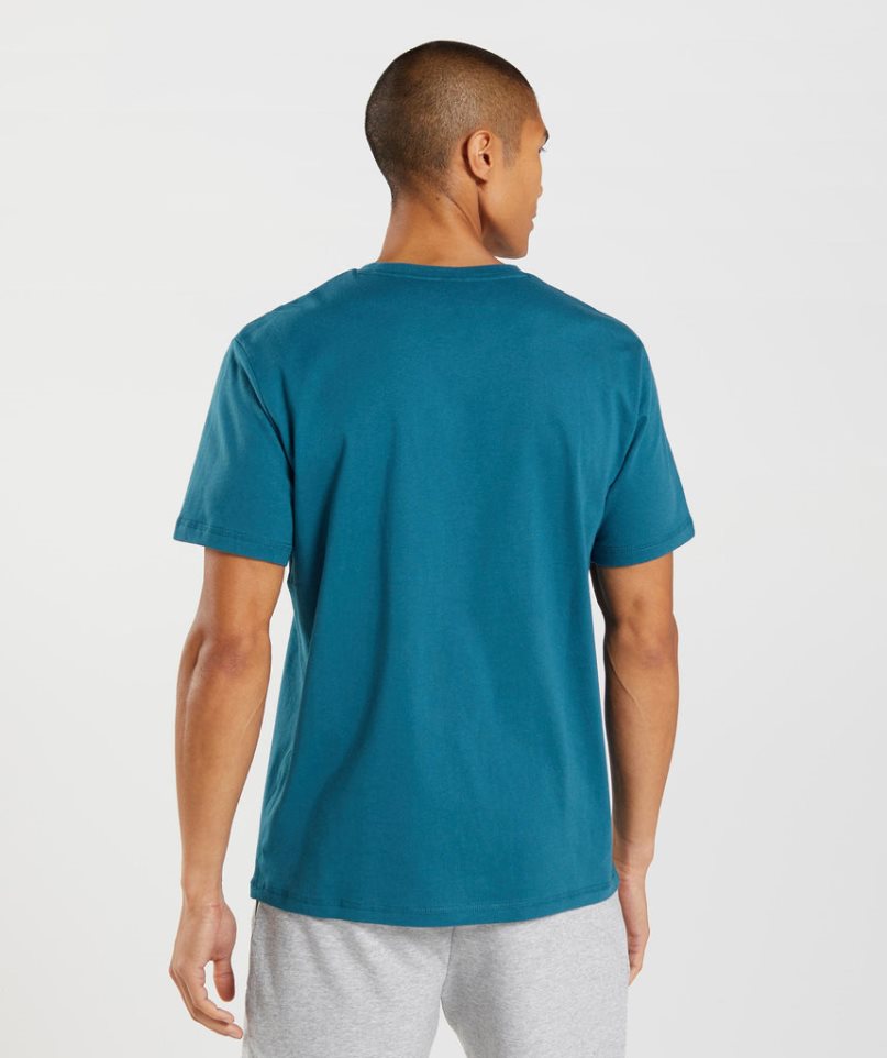 Men's Gymshark Sharkhead Infill T-Shirts Turquoise | NZ 1TSGHC